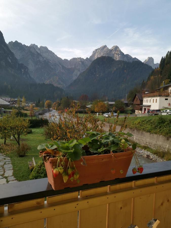 All'Amicizia Santo Stefano Di Cadore Exterior foto